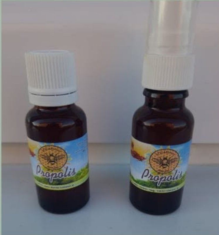 Propolis kapi